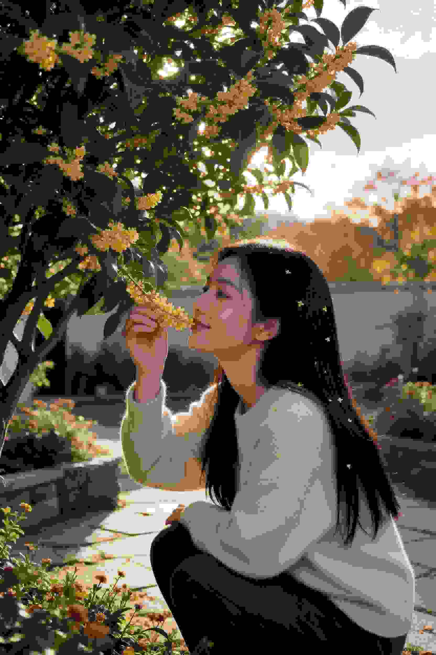 甜蜜陷阱